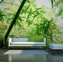Bamboo