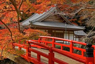 Fotobehang - Japanse Tempel