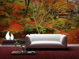Jardin Japonais