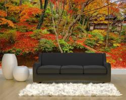 Wall Murals - Japanese Garden
