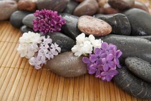 Fotomurales - Piedra Zen & Flores
