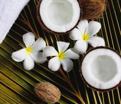 Fotomurales - Plumeria Flor