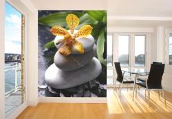 Zen Stones & Orchids