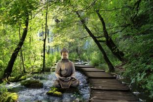 Wall Murals - Zen Garden