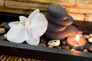 Wall Murals - Zen Stones & Orchid