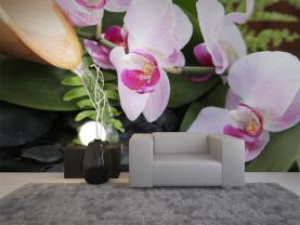 Fontaine Zen & Orchidées