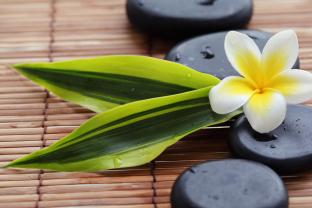 Murais de Parede - Plumeria