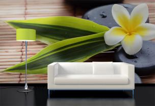 Plumeria