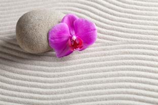 Wall Murals - Zen Stones