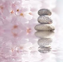 Fotobehang - Zen Steen & Bloemen