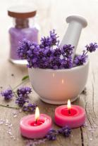 Fotomurales - Flores Lavanda