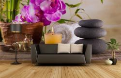 Zen Stones & Orchids