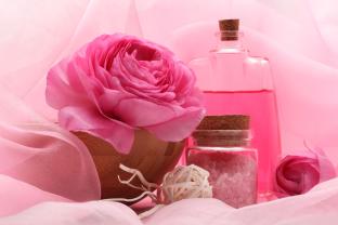 Fototapet - Rose