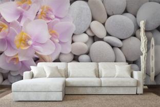 Pierre Zen & Orchidées