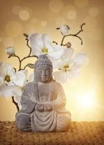 Fototapet - Buddha Statue & Orkideer