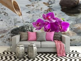 Fontana Zen & Orchidee