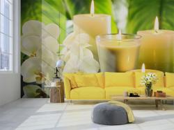 Spa & Orchids