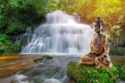 Wall Murals - Zen Garden Buddha Statue