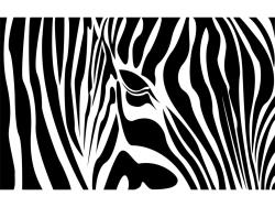 Wandtattoos - Zebra