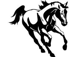 Vinil Decorativo - Cavalo