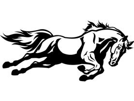 Wall Stickers - Horse