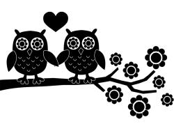 Wall Stickers - Cute Owls