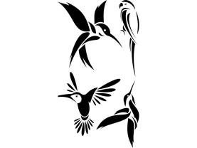 Wandtattoos - Vogel Kolibris