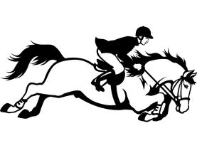 Muurstickers - Paard Rijkunst