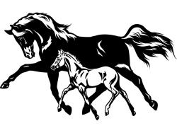 Veggklistremerker - Hest
