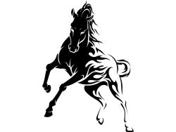 Wall Stickers - Horse