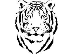 Adesivi Murali - Tigre
