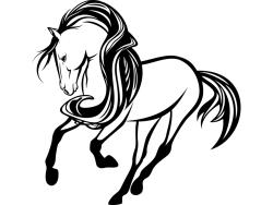 Vinilos Decorativos - Caballo