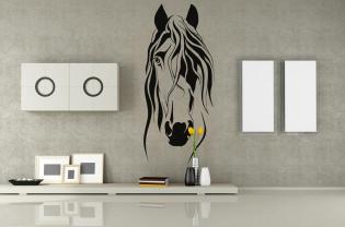 Paard