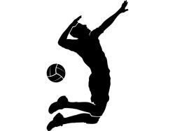 Väggdekor - Volleyball