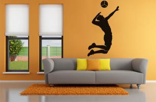 Volleyball