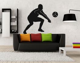 Volley-ball