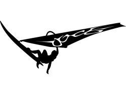 Vinilos Decorativos - Windsurf