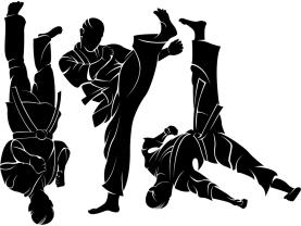 Muurstickers - Karate (Kit)