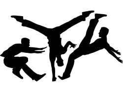 Stickers Muraux - Parkour