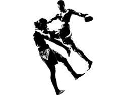 Wall Stickers - MMA - Mixed Martial Arts