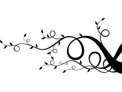 Wall Stickers - Abstract Floral