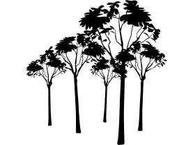 Muurstickers - Bomen