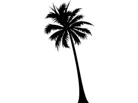 Vinilos Decorativos - Palmera