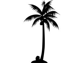 Wandtattoos - Palme Baum