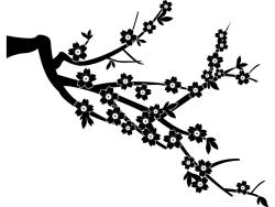 Wandtattoos - Kirschblüten