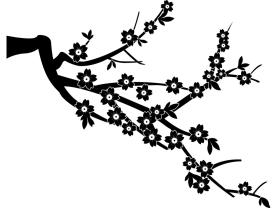 Muurstickers - Bloesems van de Kers