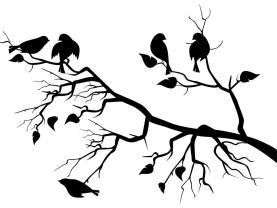Vinilos Decorativos - Árbol & Pájaros
