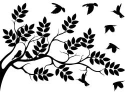 Muurstickers - Boom & Vogels