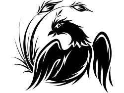 Wandtattoos - Adler Phönix