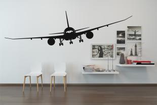 Flymodus